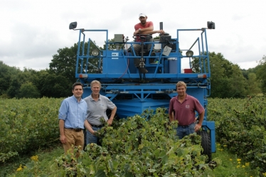 Ticehurst blackcurrant farm